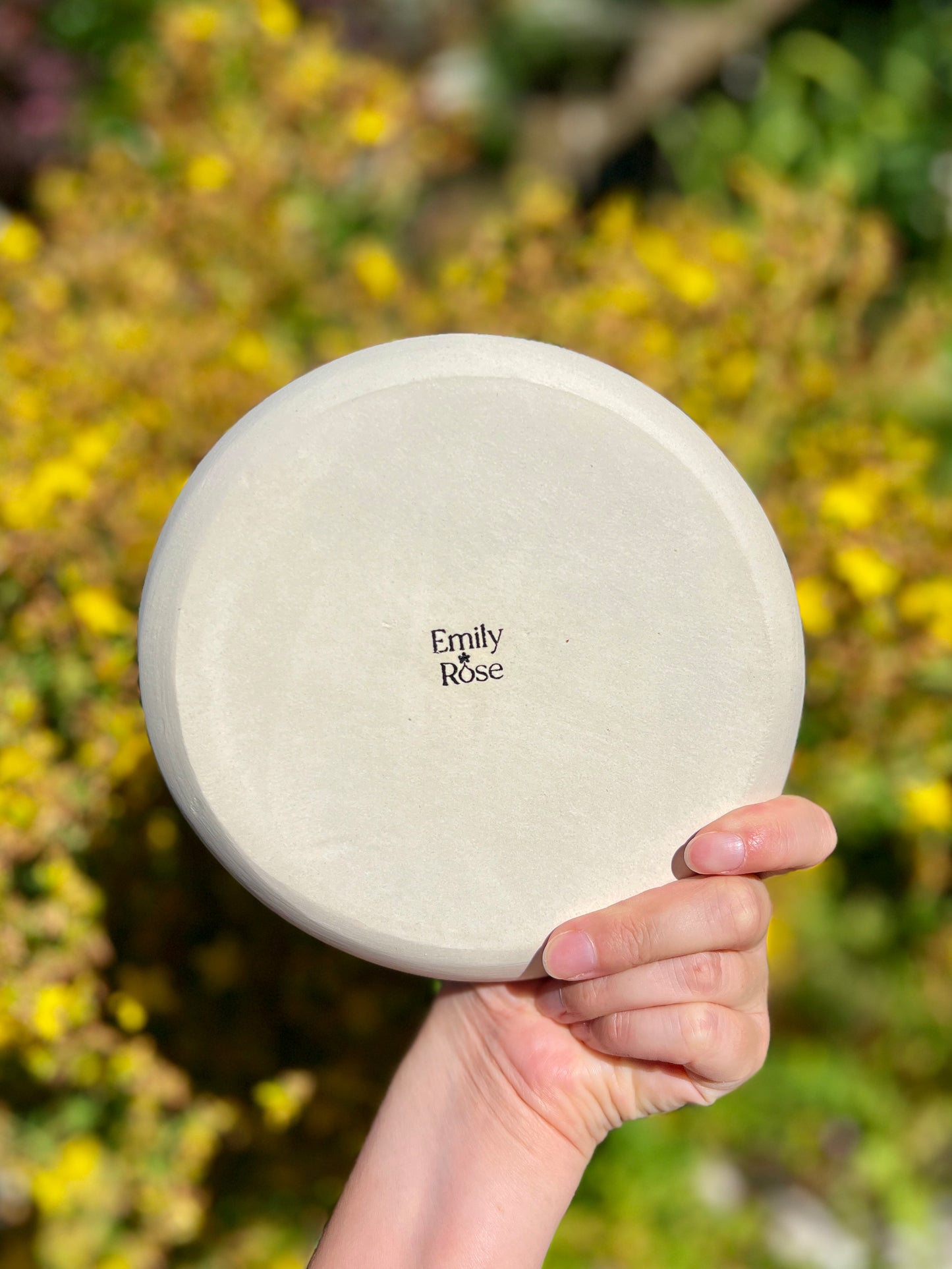 Double Jellyfish Shimmer Trinket Plate (7" D)