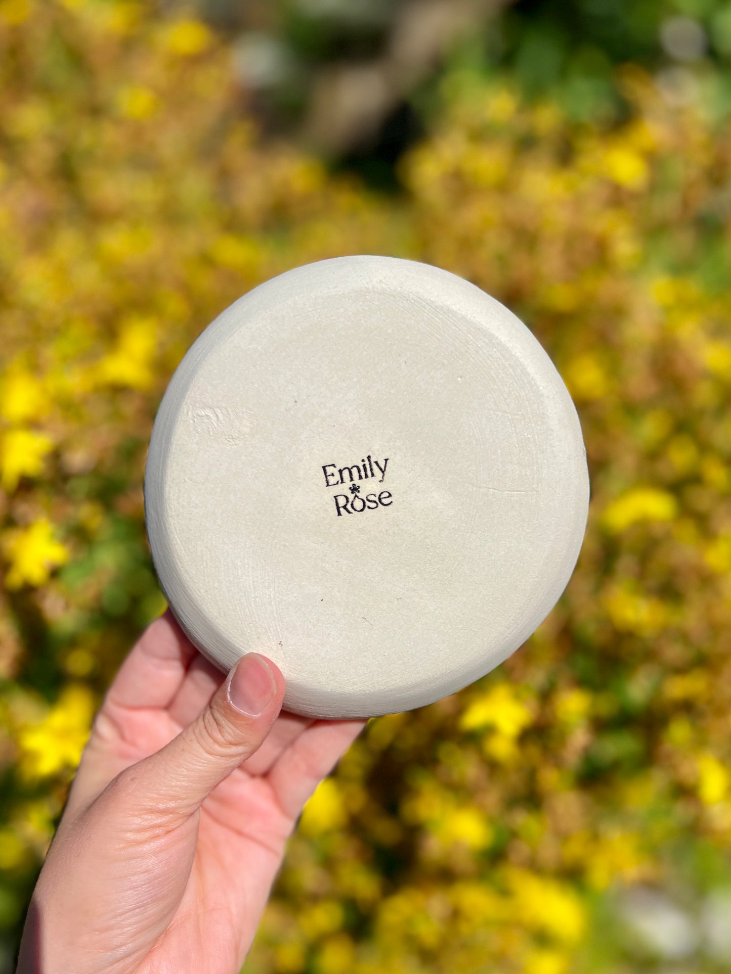 Double Jellyfish Shimmer Plate (7.5" D)