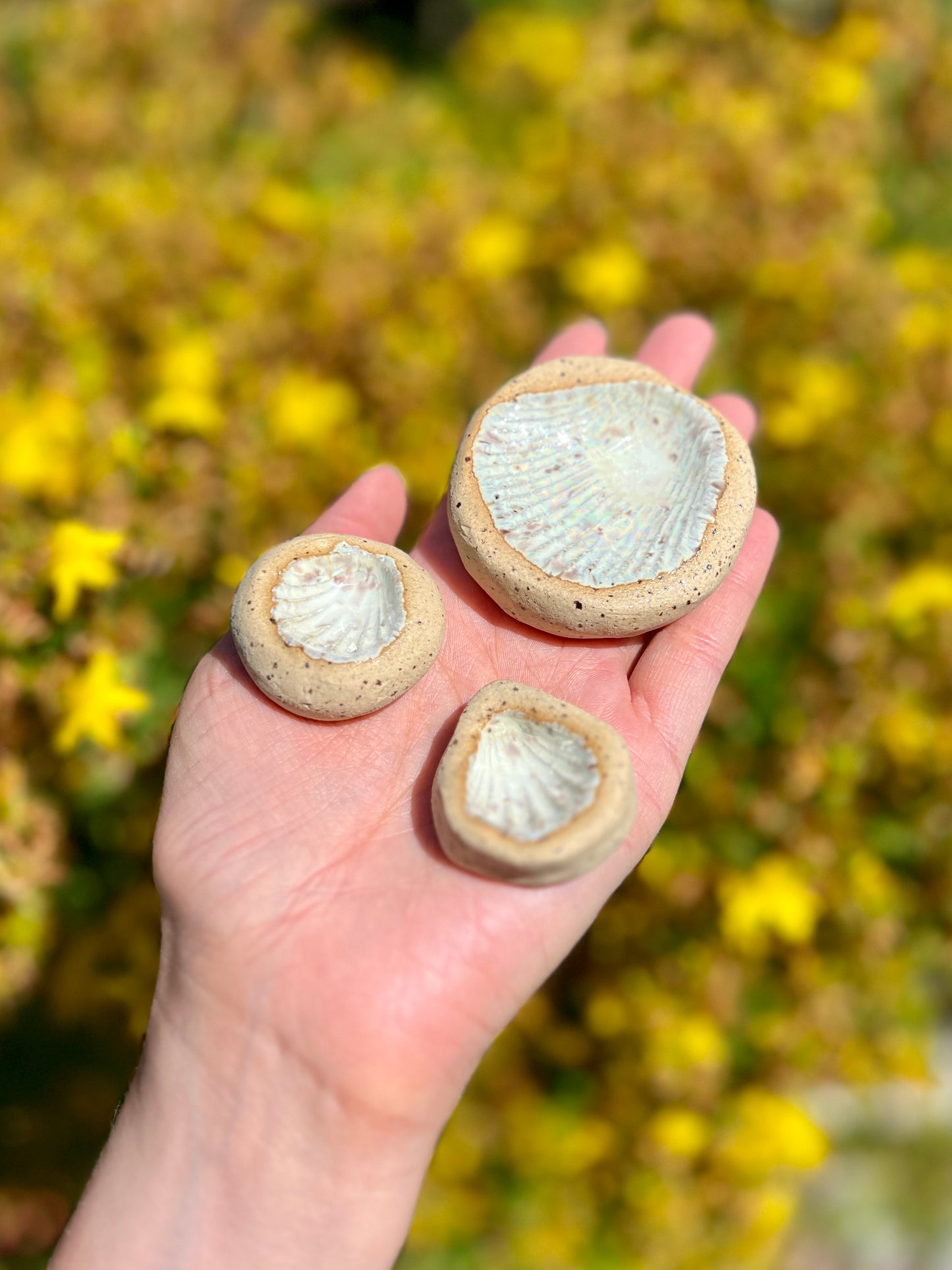 Tripple Pearly Shell Jewelry holder Set