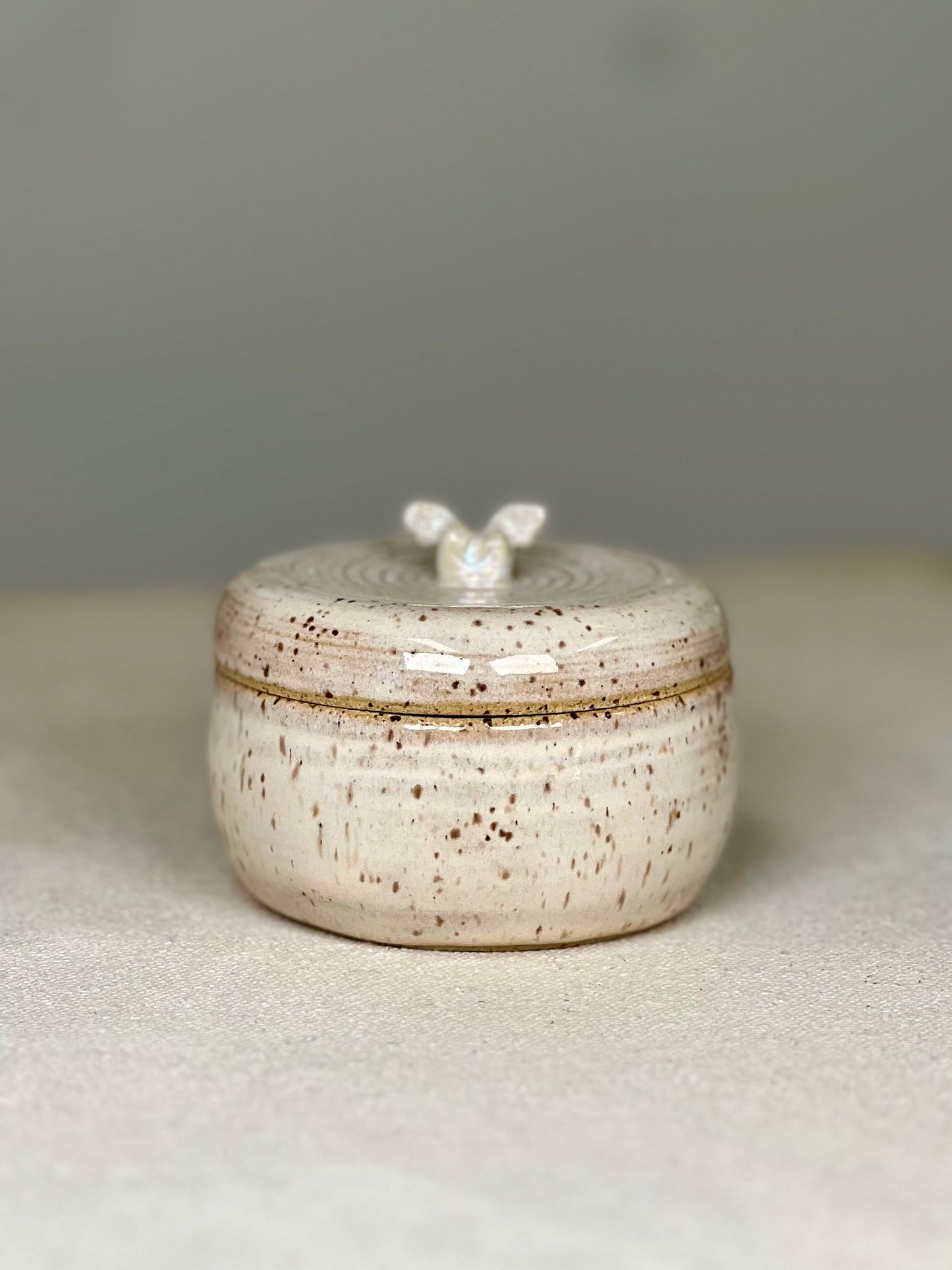 Tooth Fairy Box (with surprise inside)