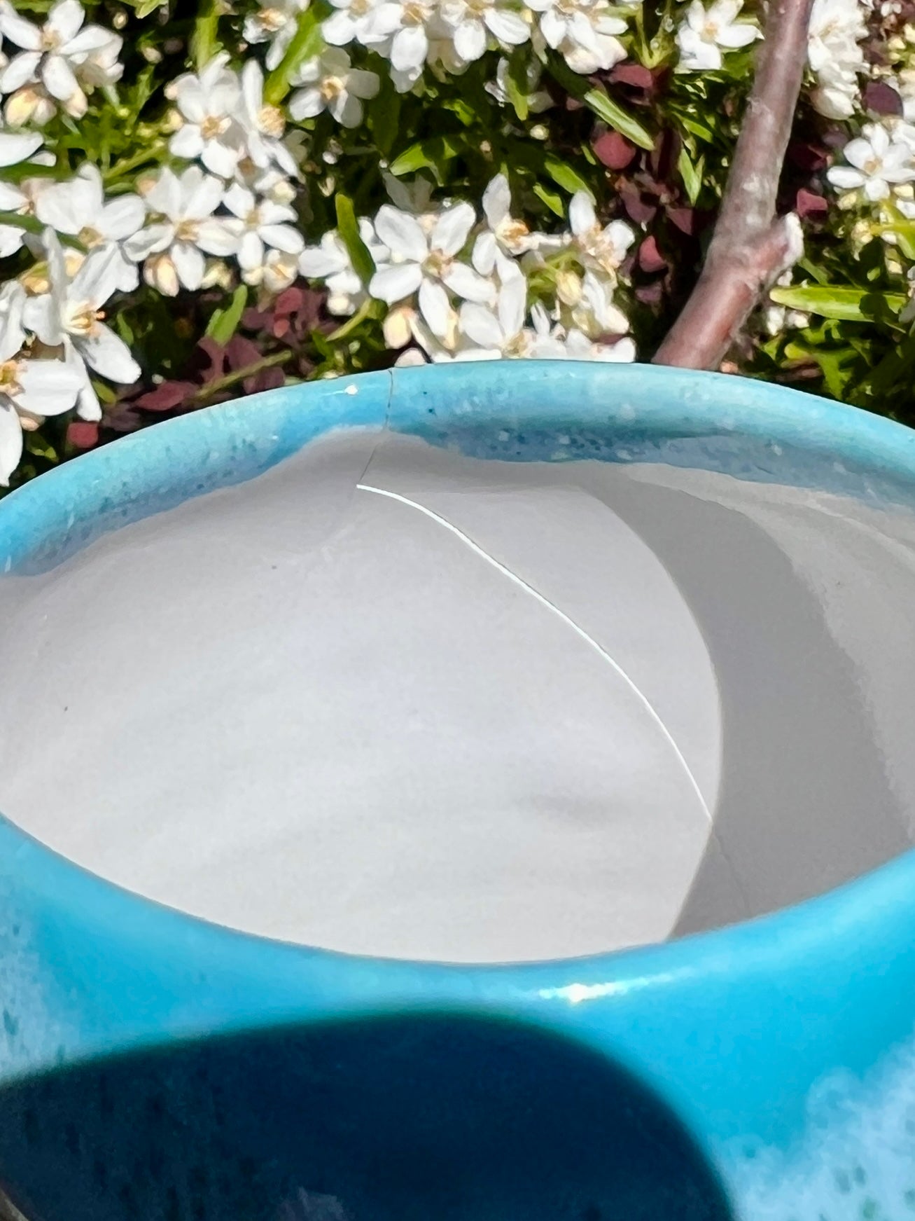 Wading Honu Vase (H 7") L3 Oopsie