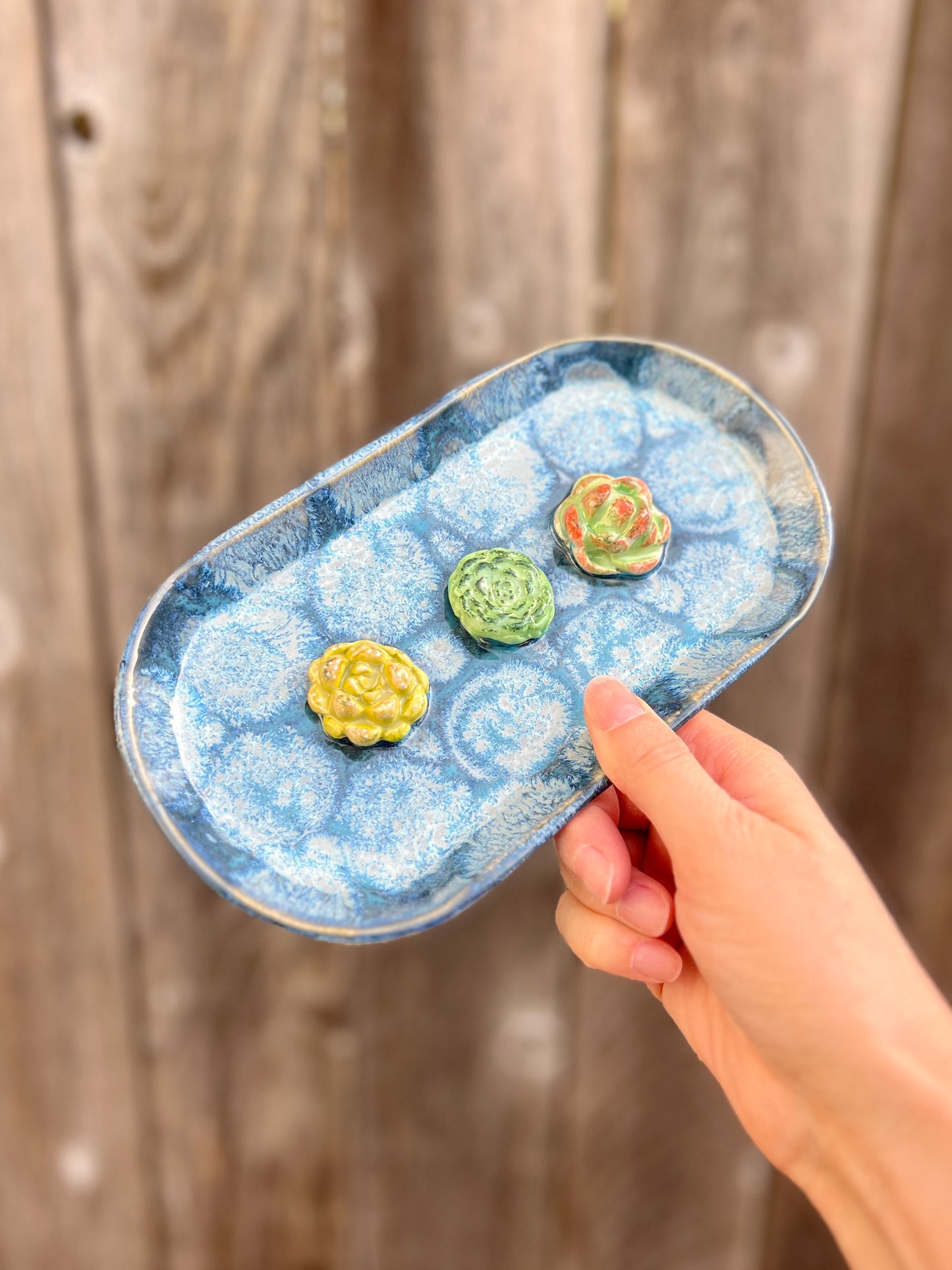 Succulent Trinket Dish (L 8.5")