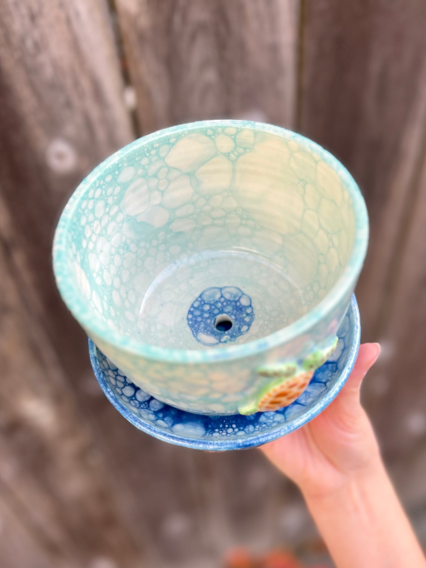 Honu Bubble Ocean Planter with Drainage