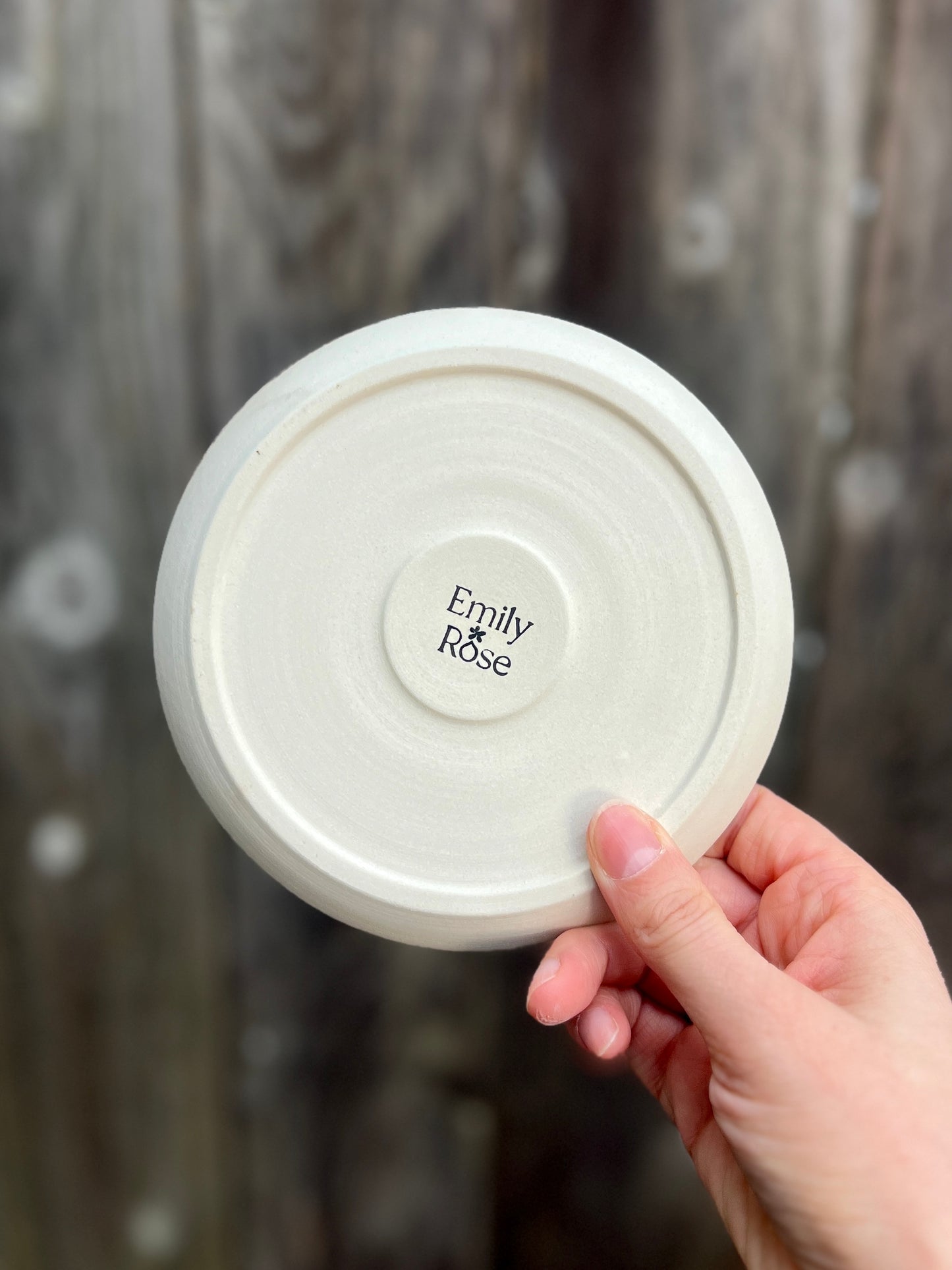 Whale Shark Trinket Dish (5.5" D)