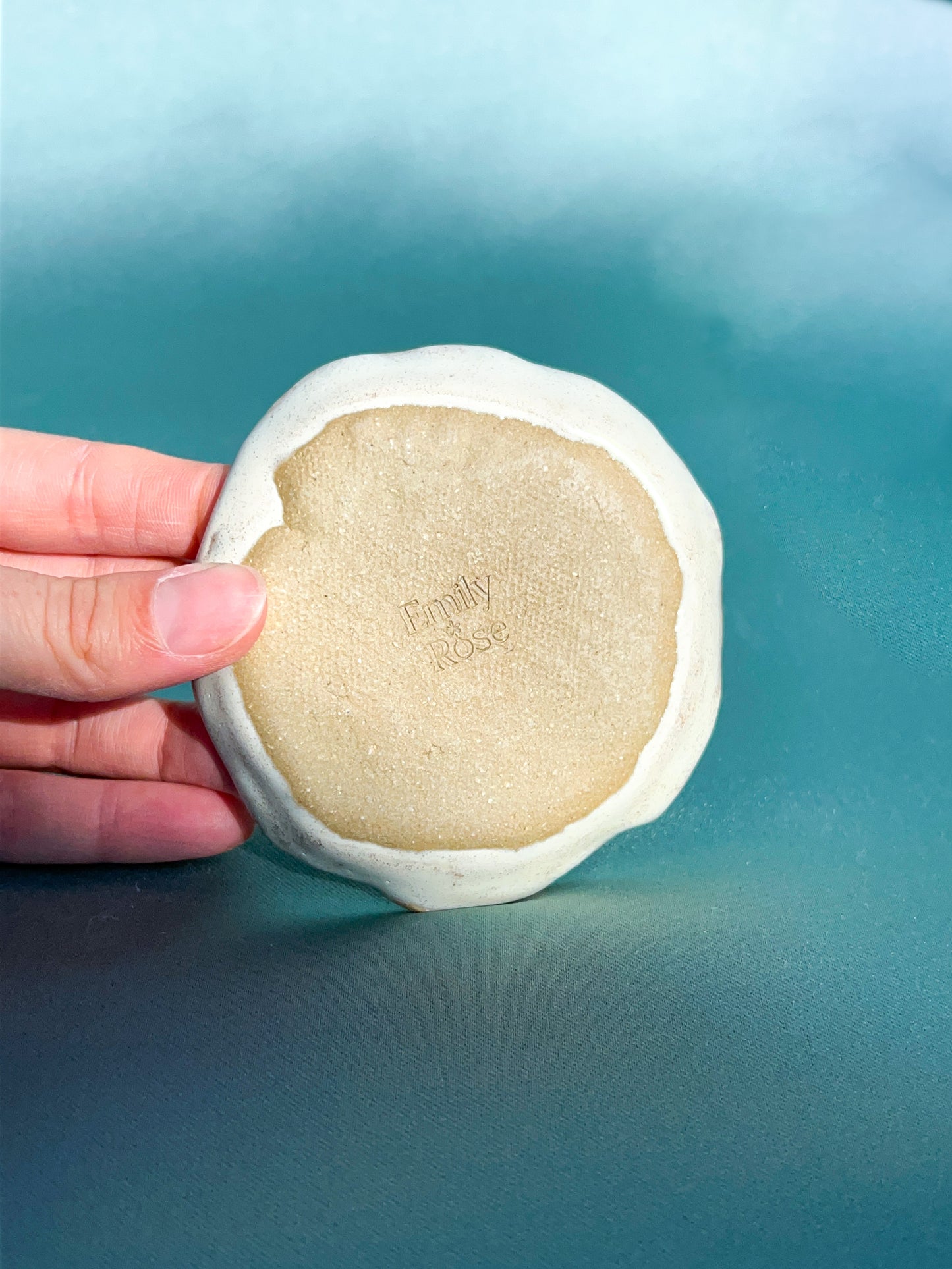 Coral Reef Pinch Plate