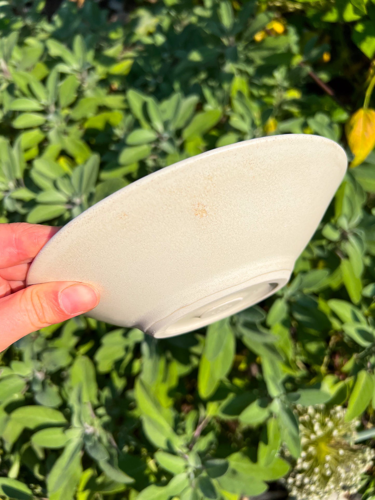 Shallow Waters Bowl