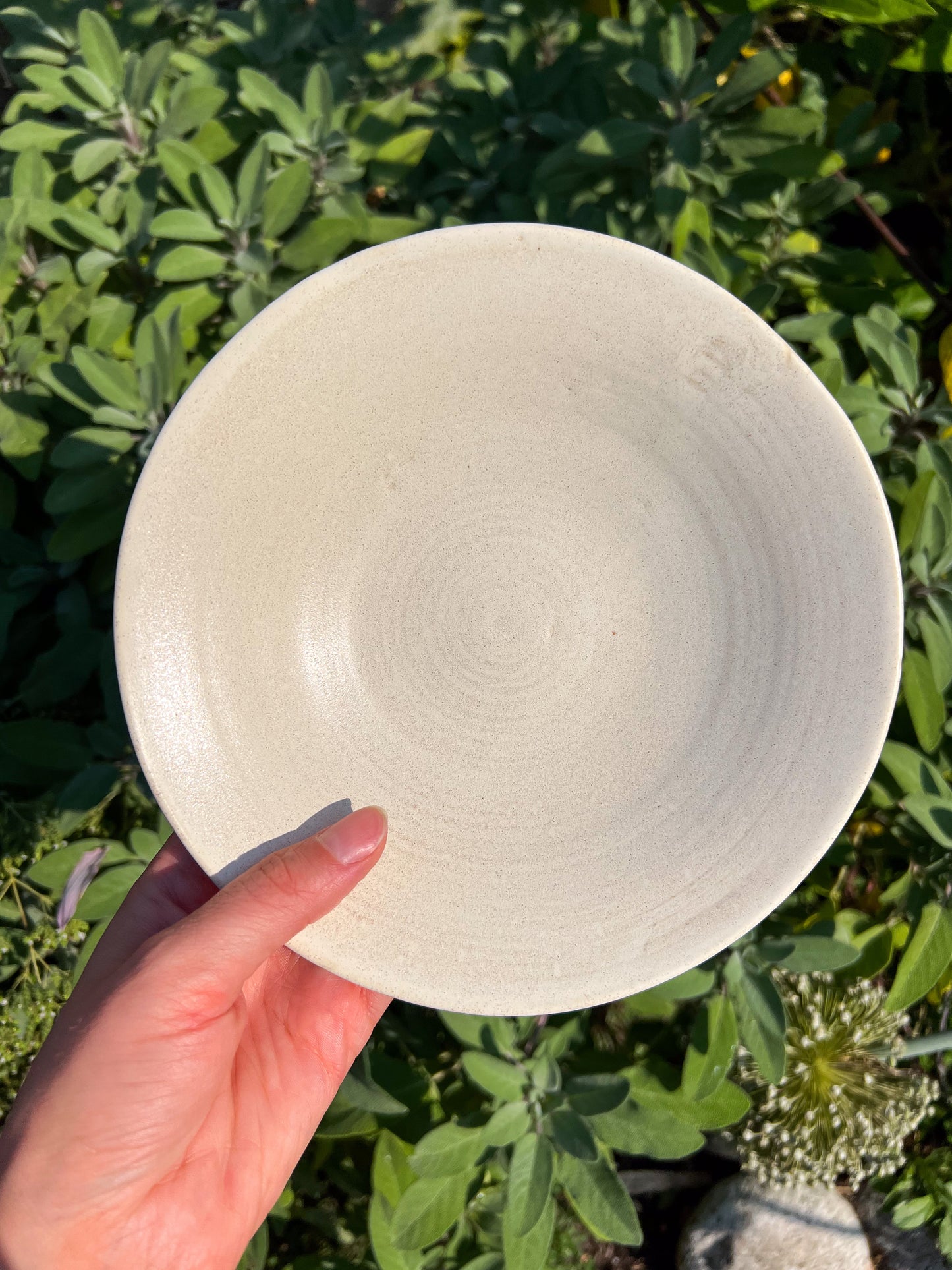 Shallow Waters Bowl