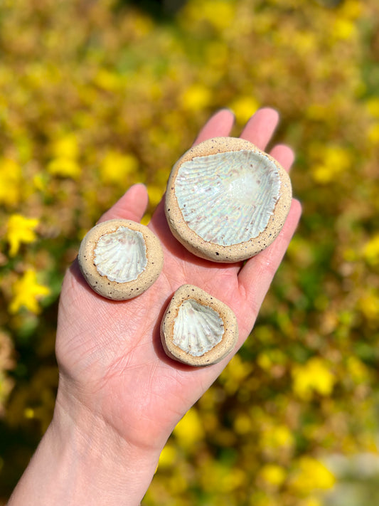 Tripple Pearly Shell Jewelry holder Set