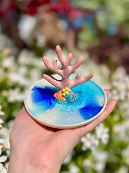 Sea Glass Coral Ring Holder - (Oopsie L1)
