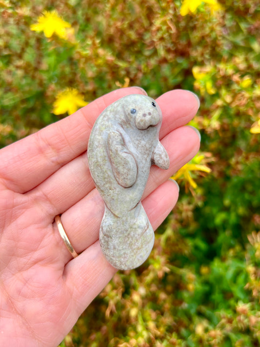 Manatee Magnet