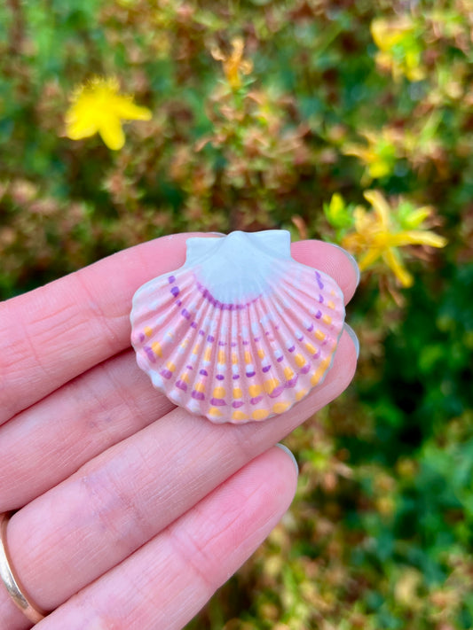 Pink Shell Magnet