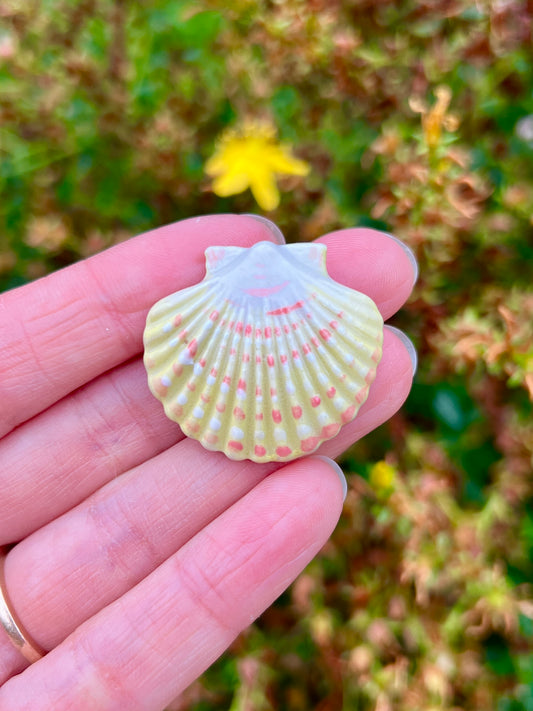Yellow Shell Magnet
