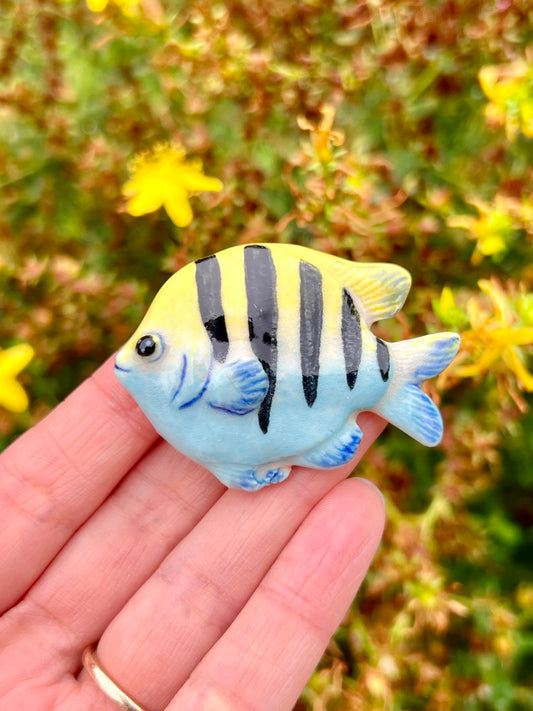 Sargaent Major Fish Magnet