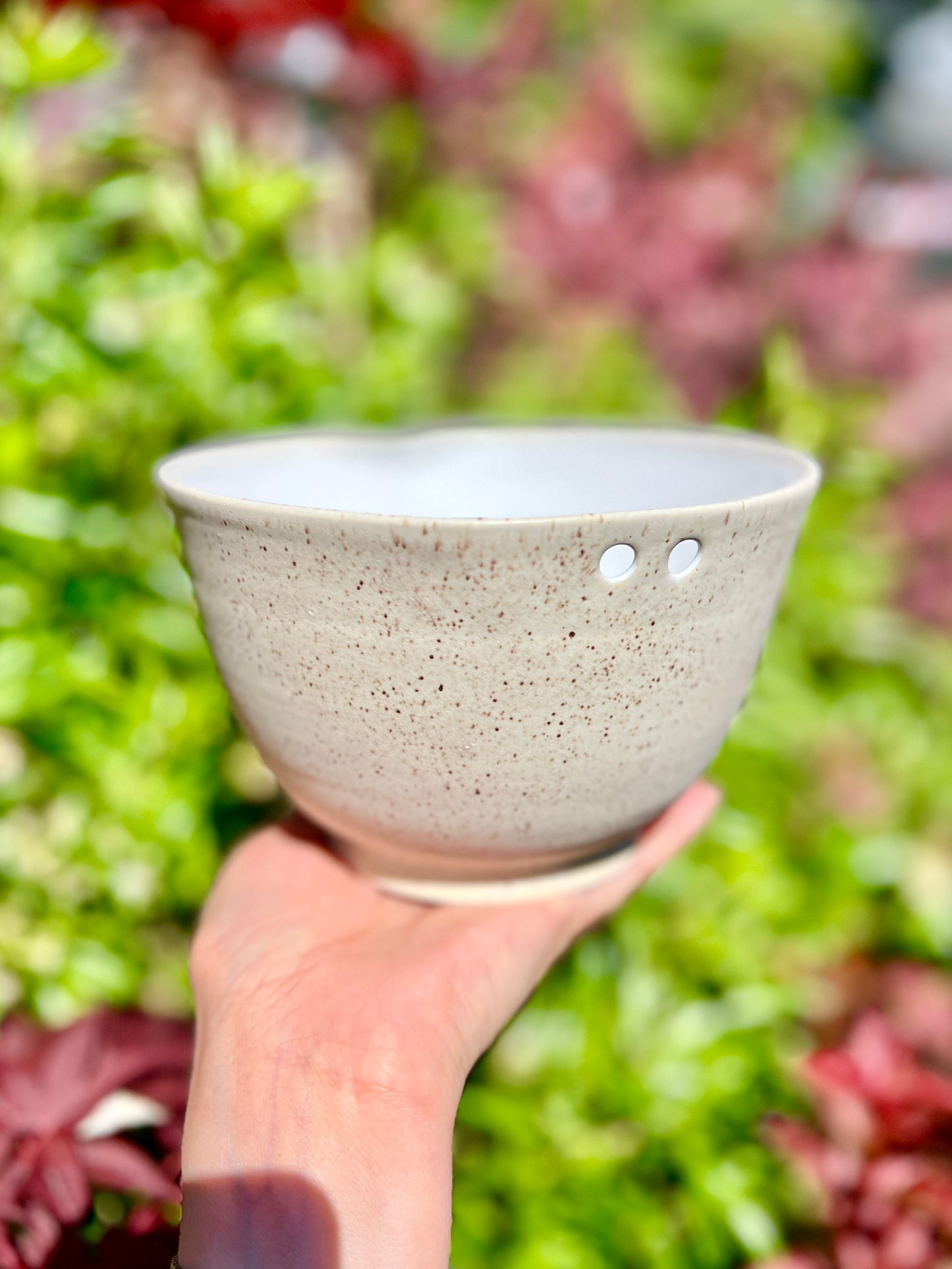 Sunrise Shell Ramen Bowl with Chopstick Holder