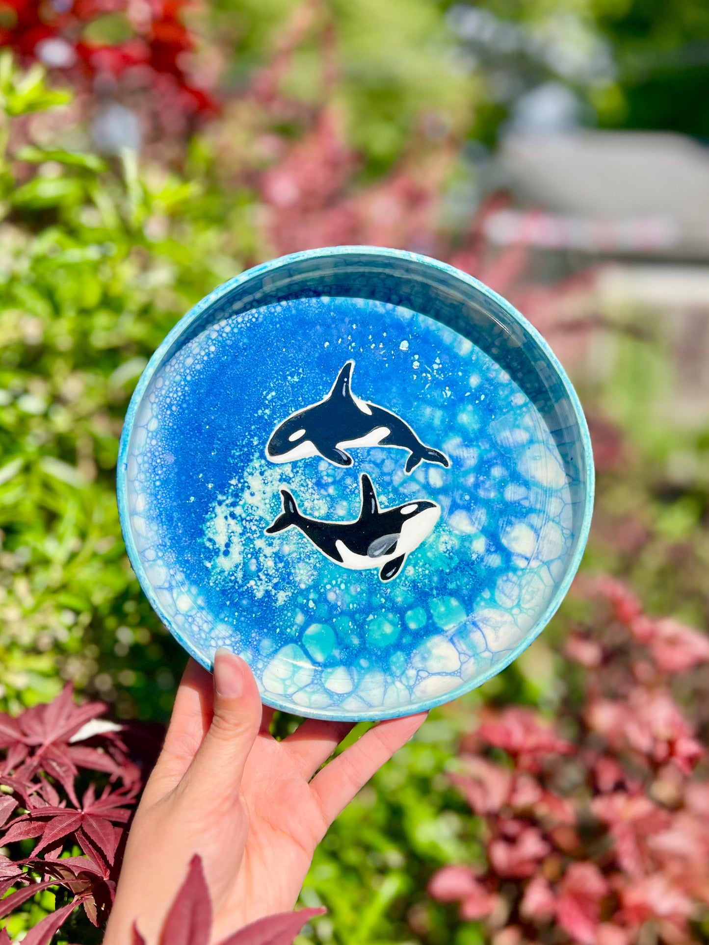 Double Orca Plate (Oopsie L1) W 7.5"
