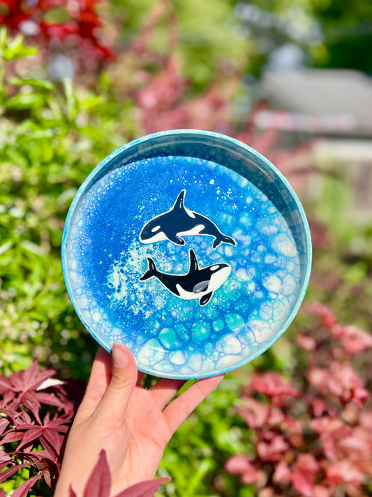 Double Orca Plate (Oopsie L1) W 7.5"