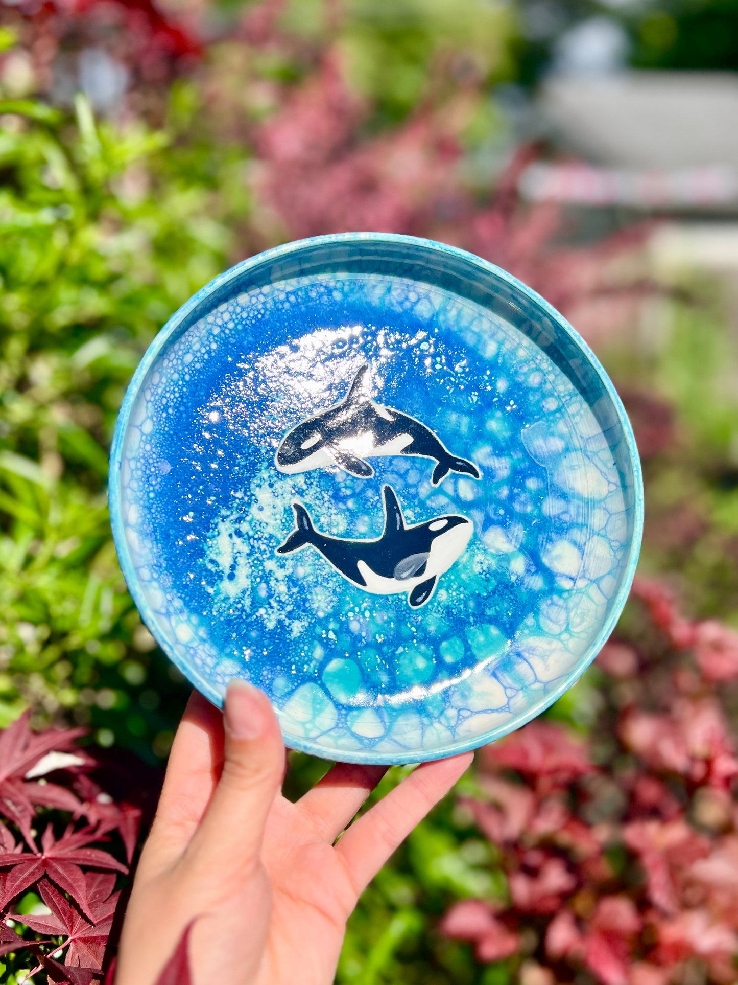 Double Orca Plate (Oopsie L1) W 7.5"