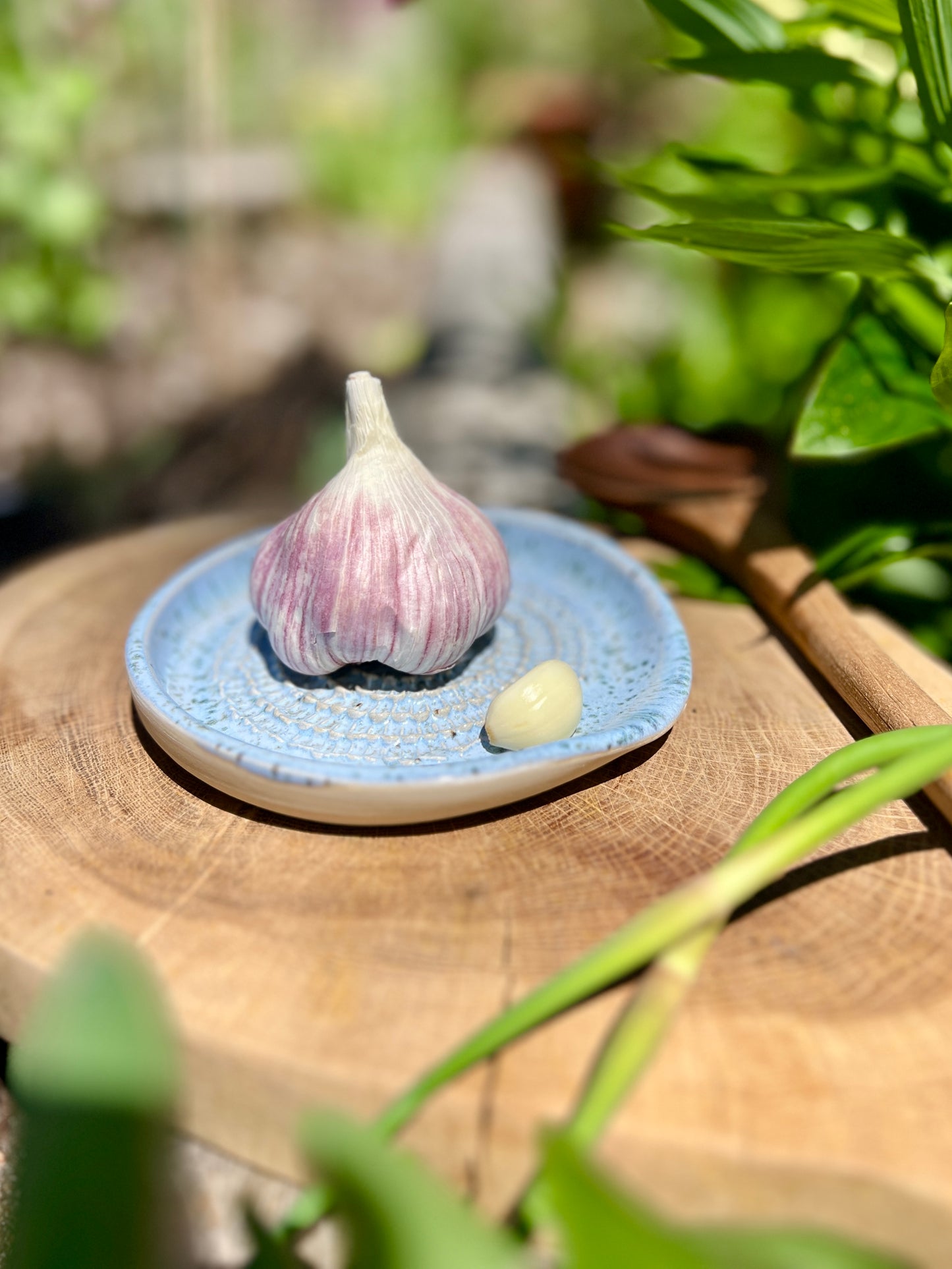 Ocean Speckle Garlic Grater Spoon Rest