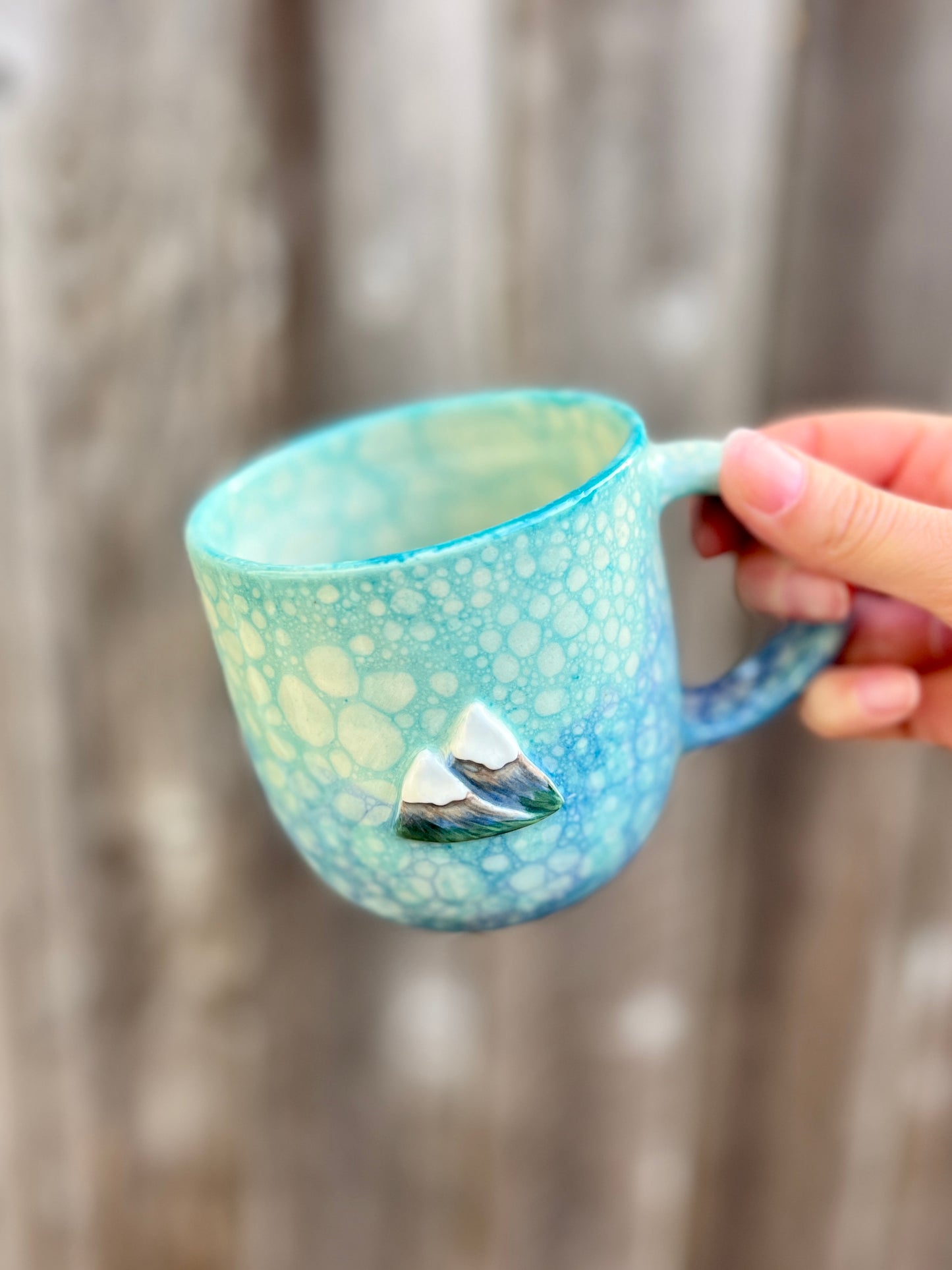Mountain Bubble Mug (16oz)
