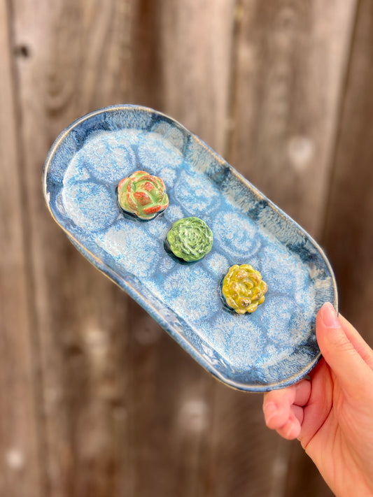 Succulent Trinket Dish (L 8.5")