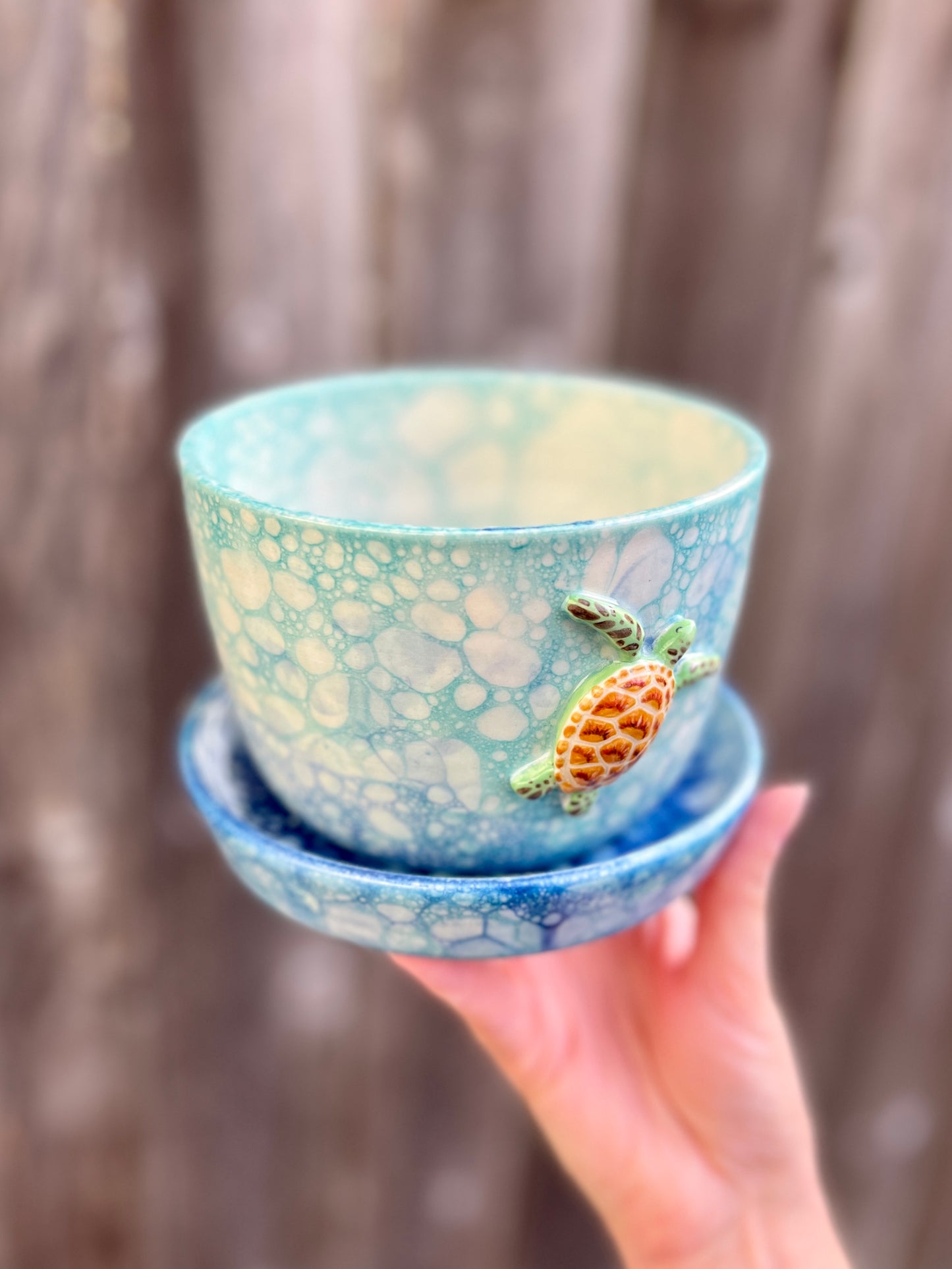 Honu Bubble Ocean Planter with Drainage