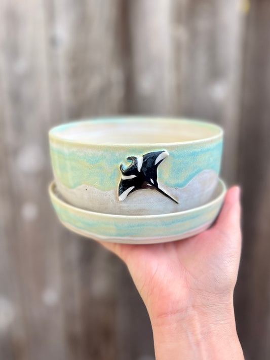 Manta Ray Planter with Drainage
