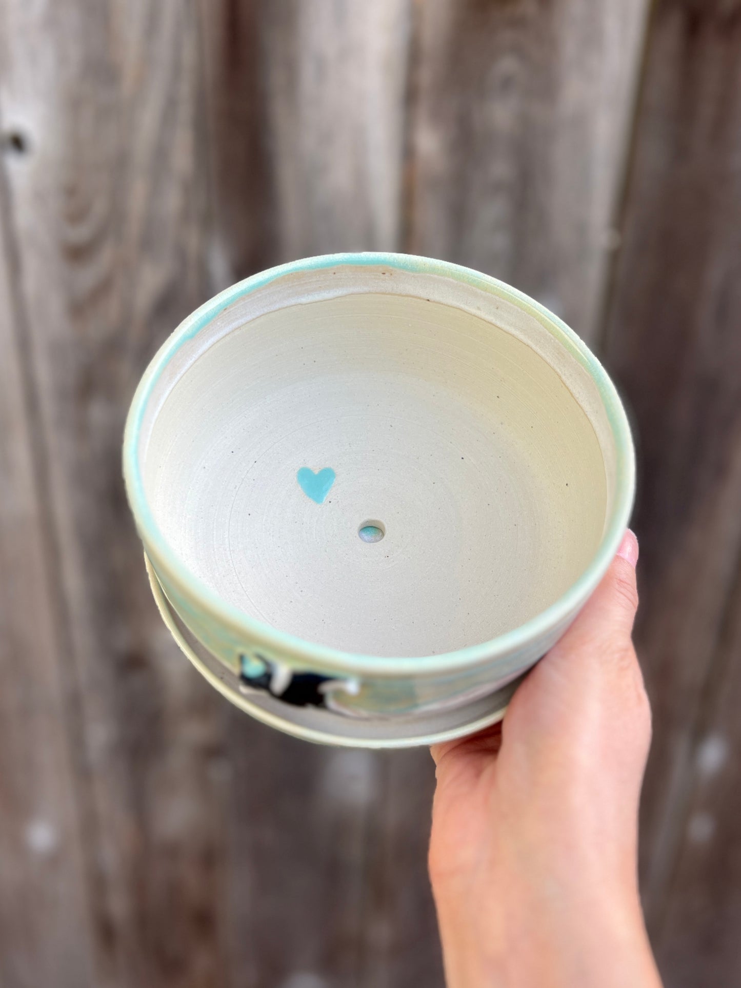 Manta Ray Planter with Drainage