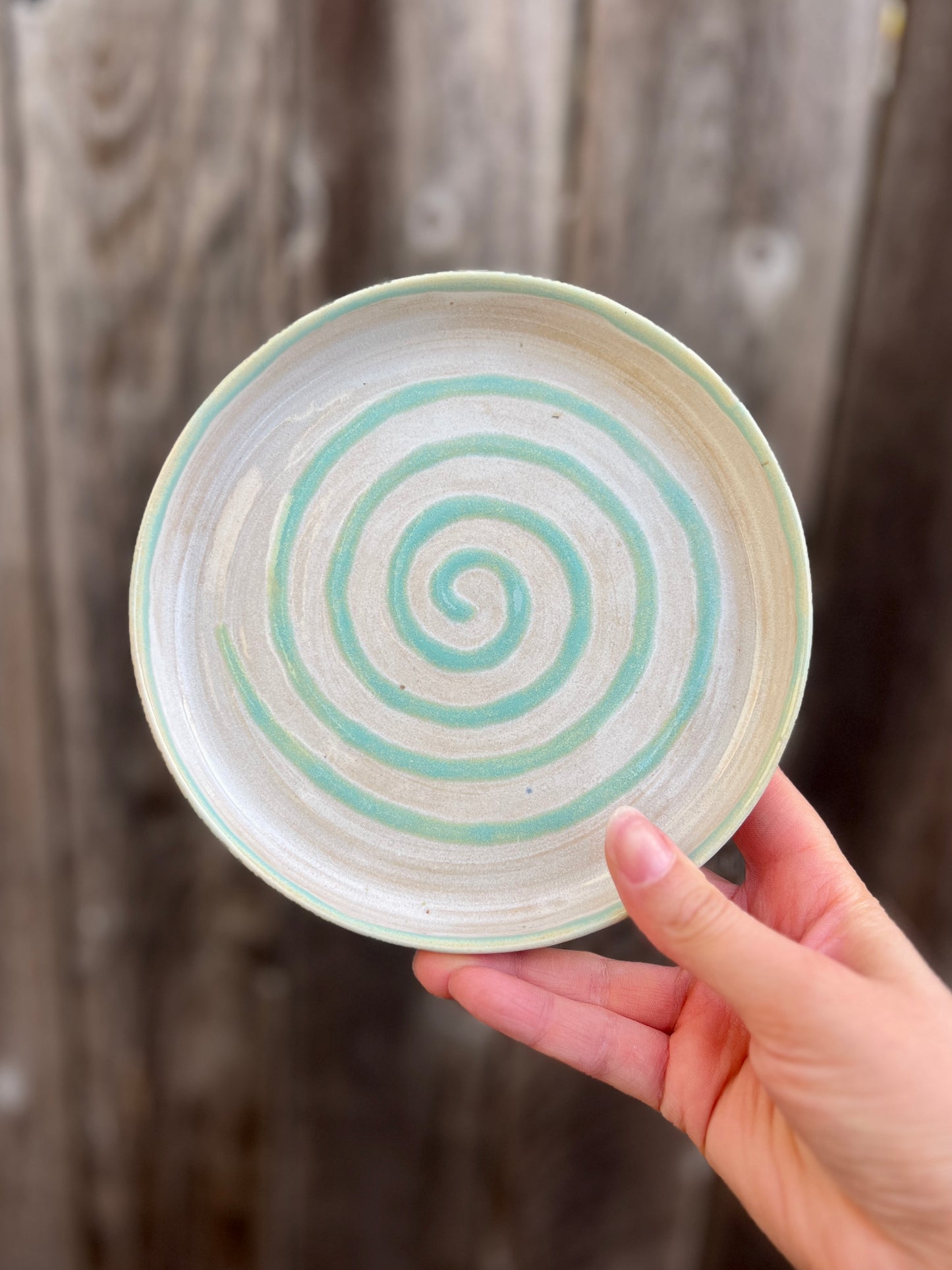 Manta Ray Planter with Drainage