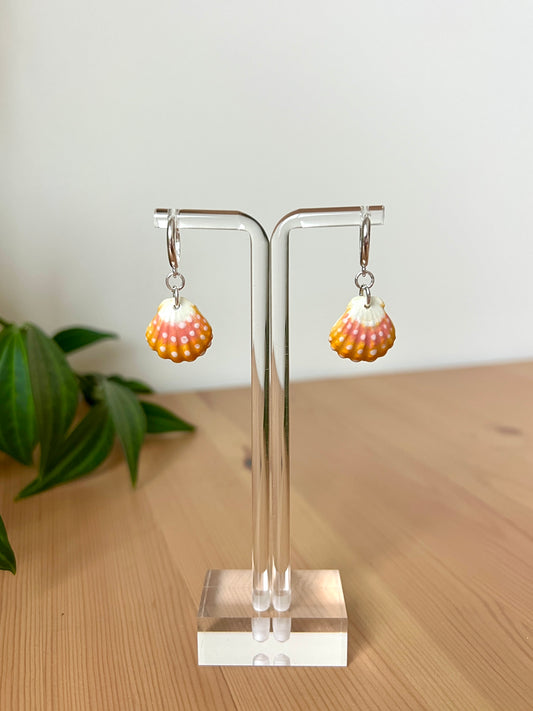 Sunrise Shell Earrings - Platinum Plated Brass