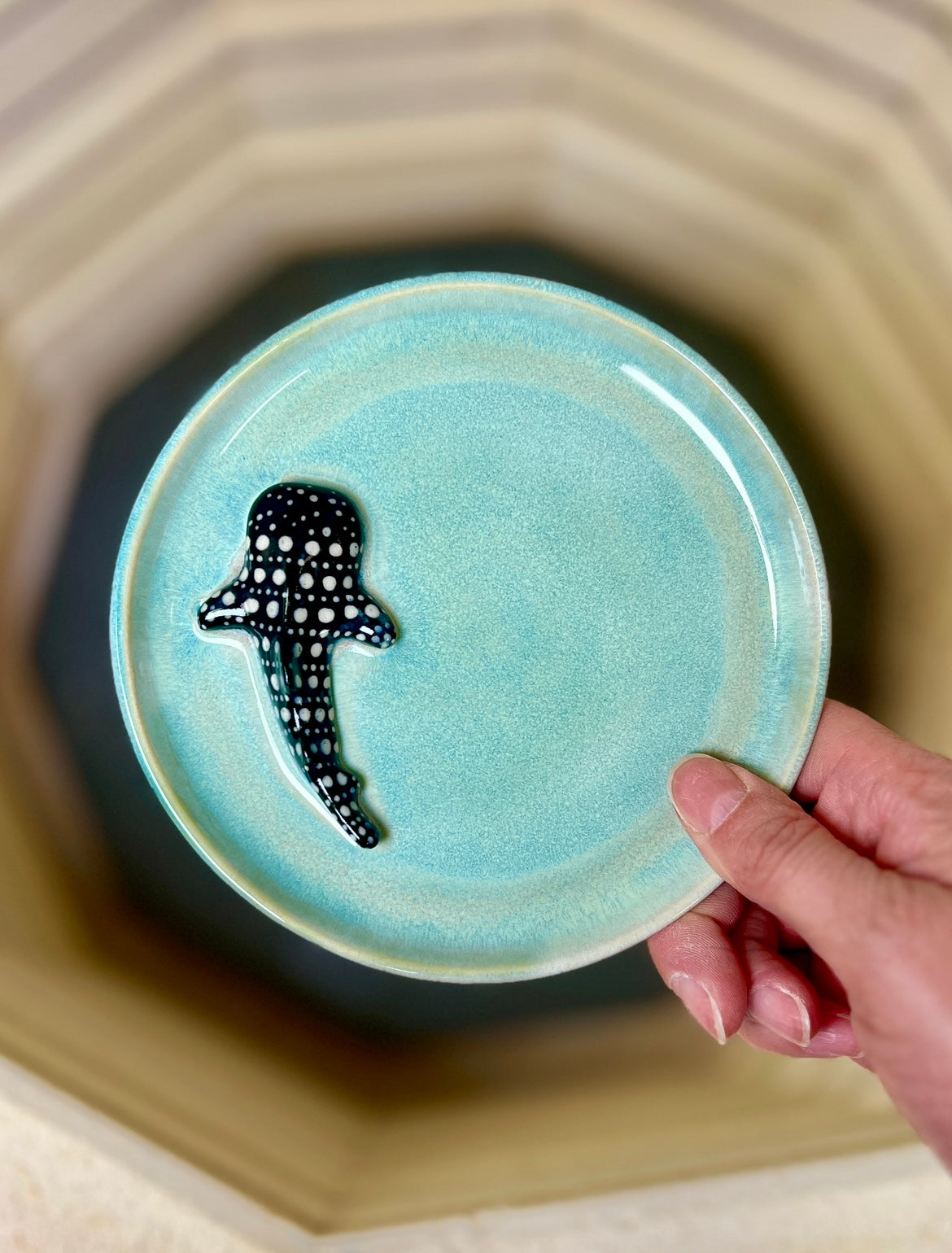 Whale Shark Trinket Dish (5.5" D)
