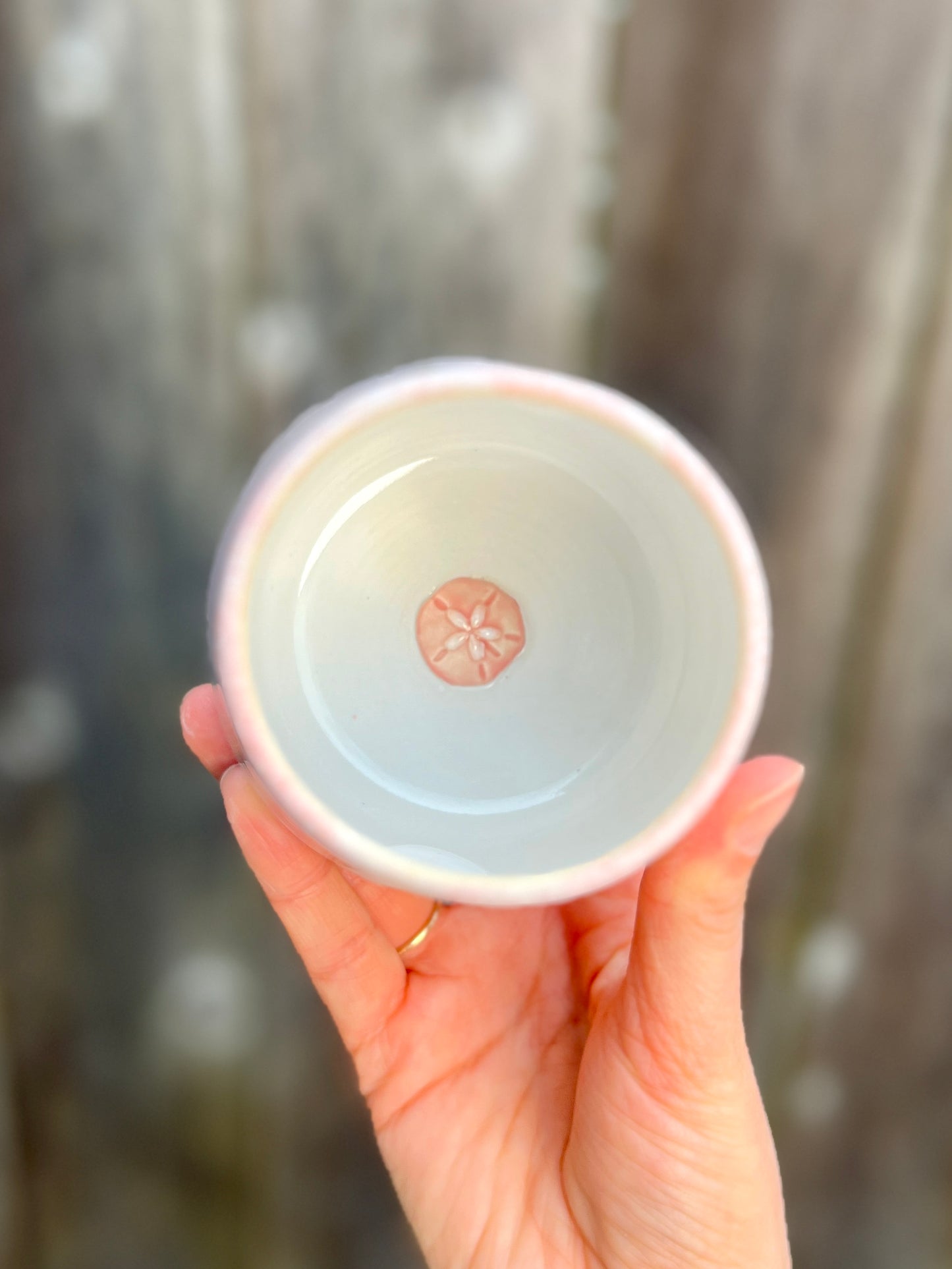 Pastel Pink Cup with sand dollar inside (11oz)