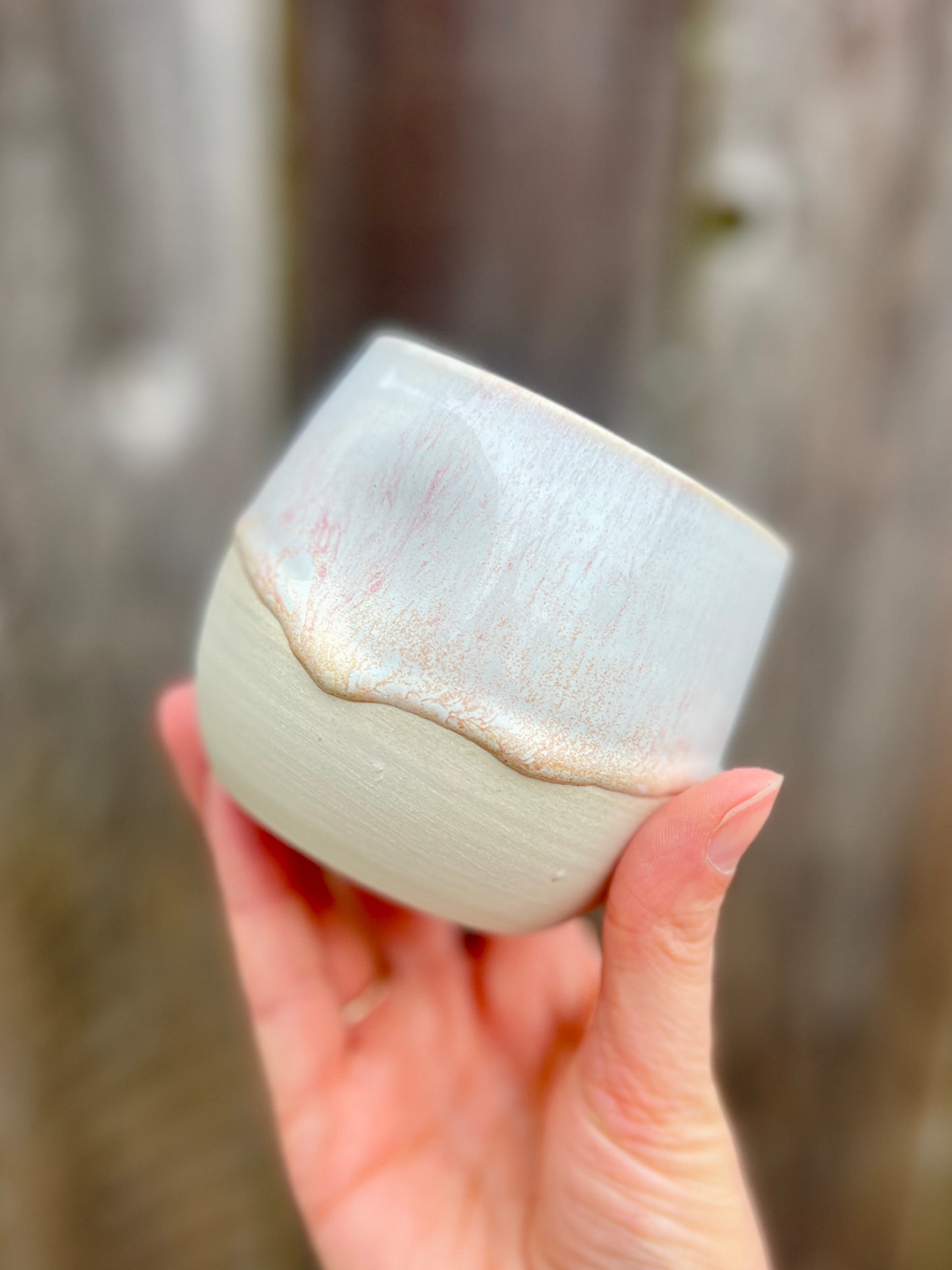 Cream Cup with Sand Dollar inside (11oz)