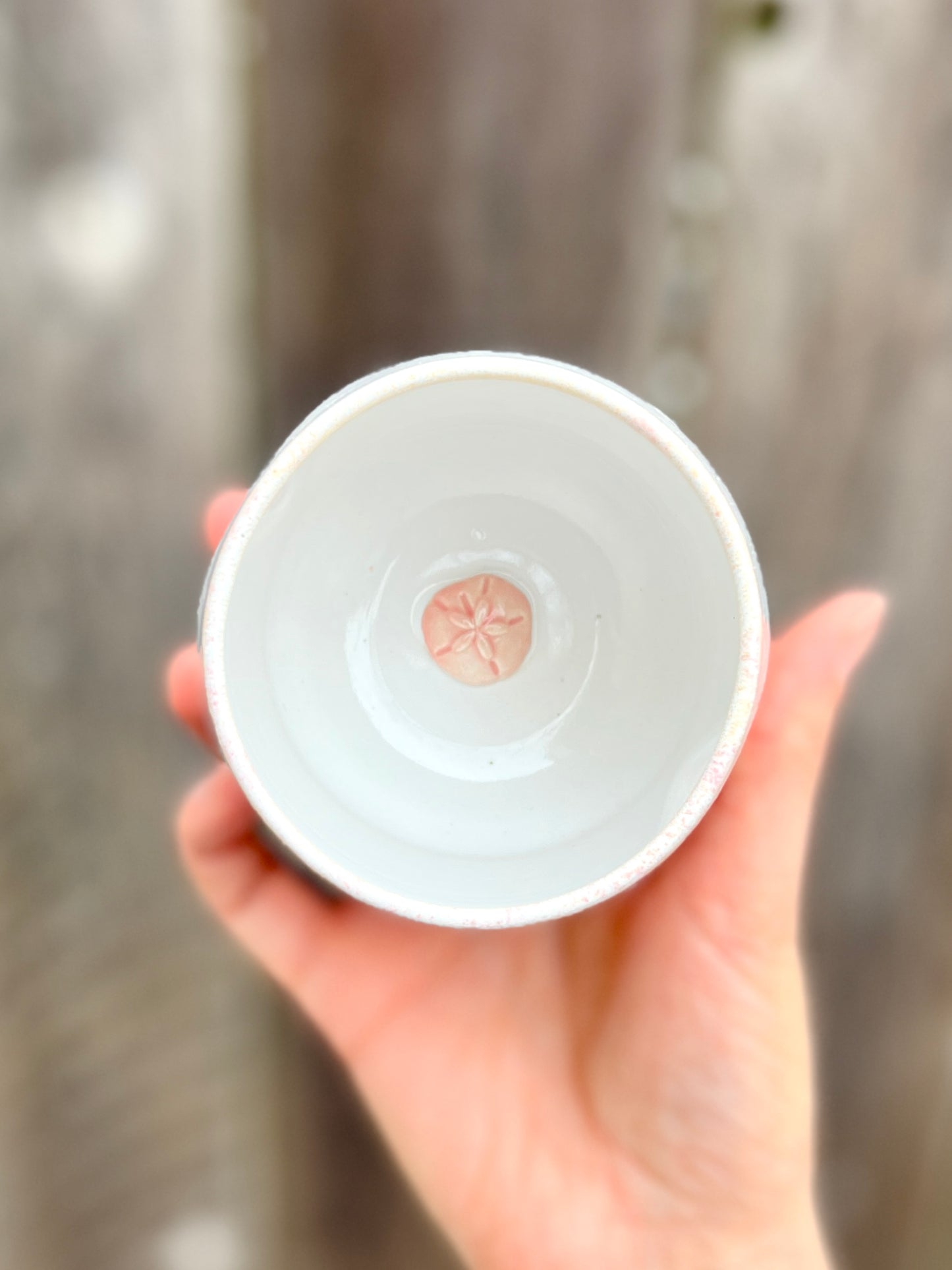 Cream Cup with Sand Dollar inside (11oz)
