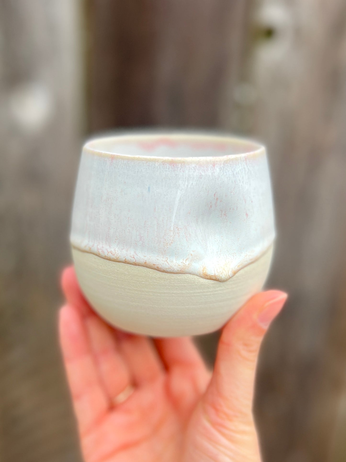 Cream Cup with Sand Dollar inside (11oz)