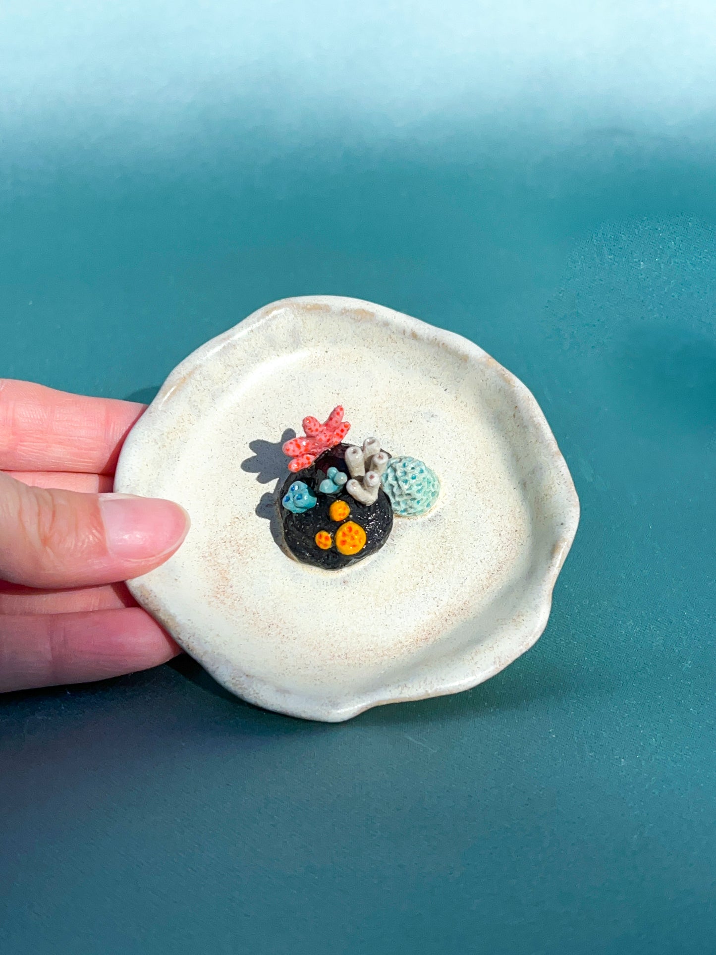 Coral Reef Pinch Plate