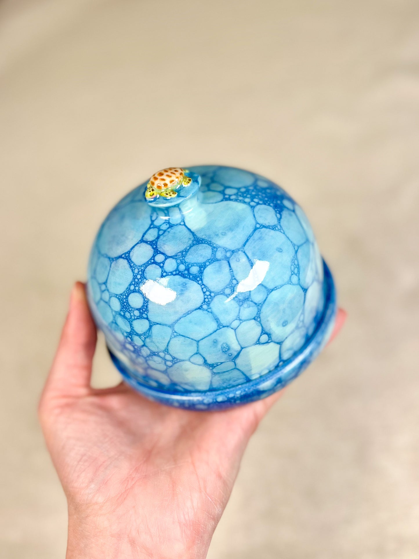 Honu Ocean Butter Dish (oopsie)