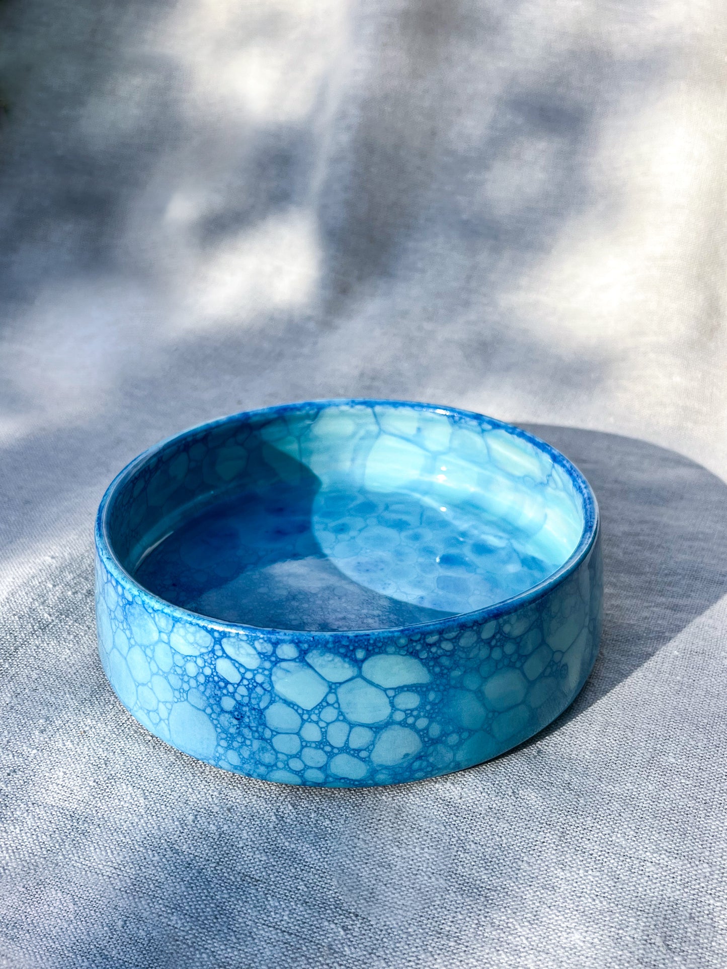 Ocean Pet Or Snack Bowl (Large Ø6" )